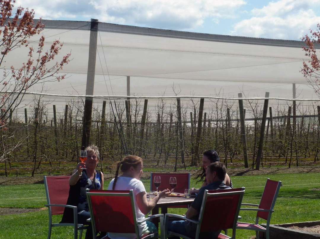 Punt Road Wines-科尔德斯特里姆必去景点