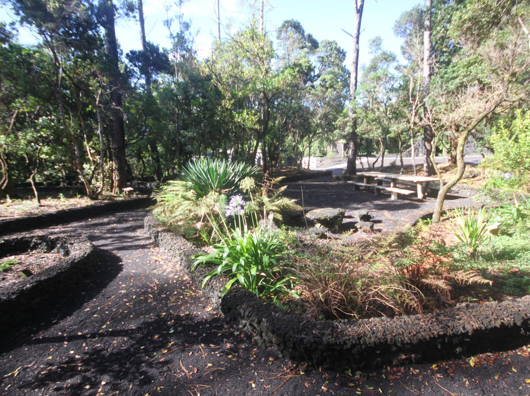 奥尔塔旅游景点-Reserva Florestal Natural do Parque do Capelo