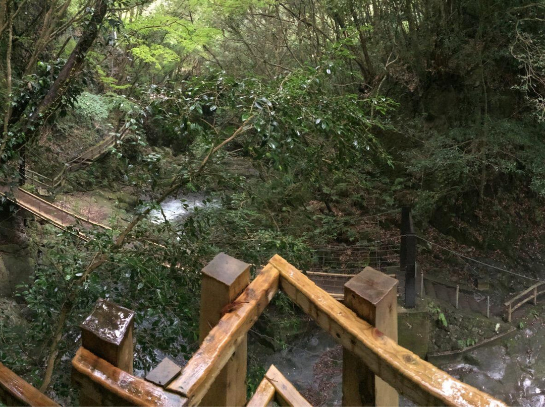Kawazu Nanadaru Waterfalls景点图片