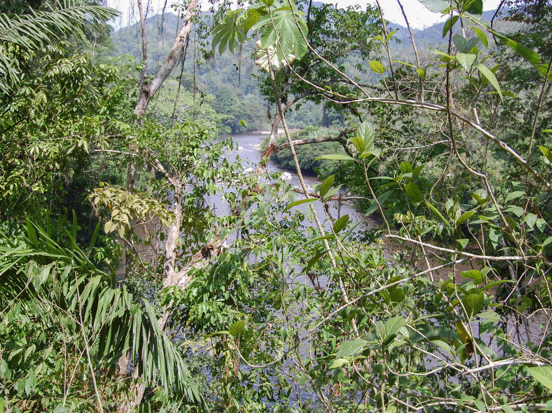 Tubing in Palomino River-帕洛米诺必去景点