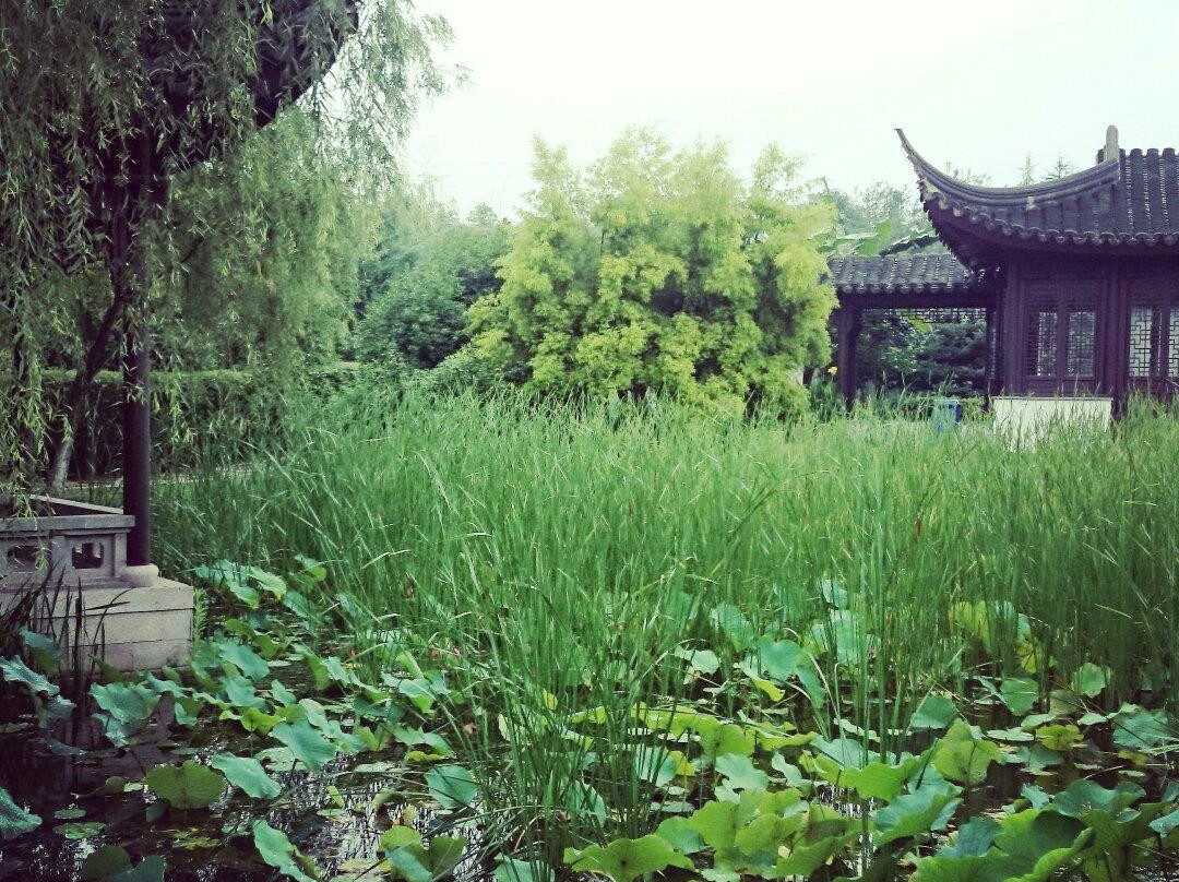 重庆园博园景点图片