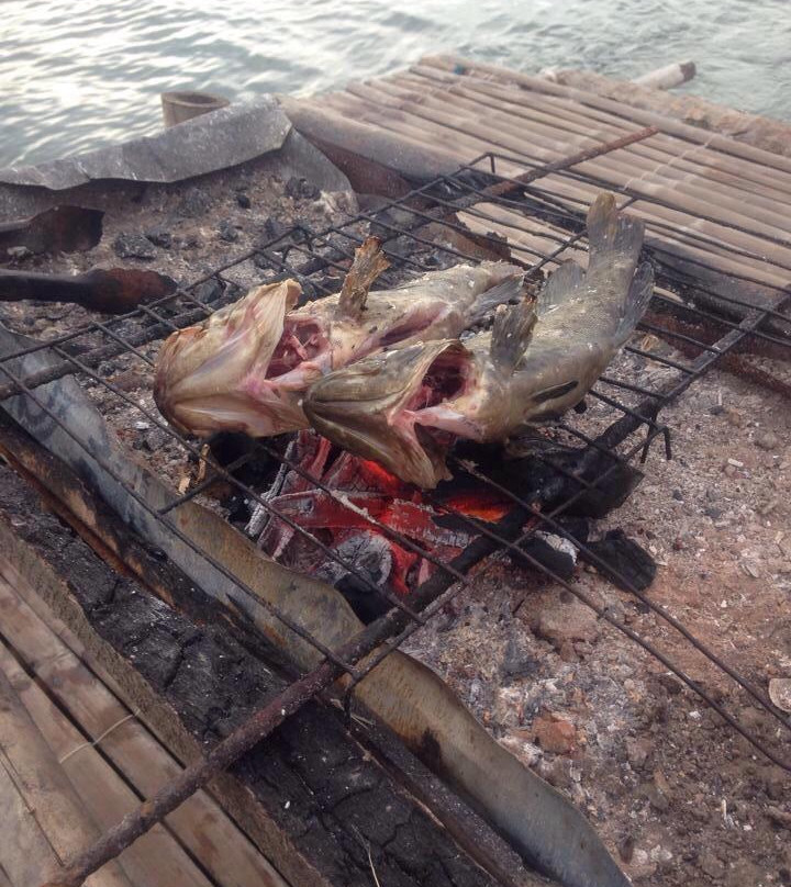 Culajao Mangrove Eco Park景点图片