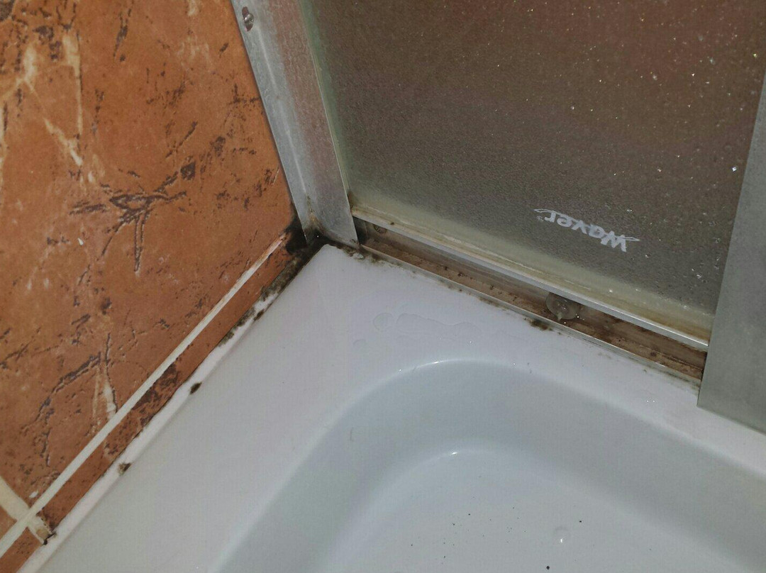 Hotel Sirena Marta主图