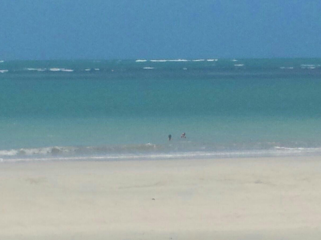 Campas Beach-Tamandare必去景点