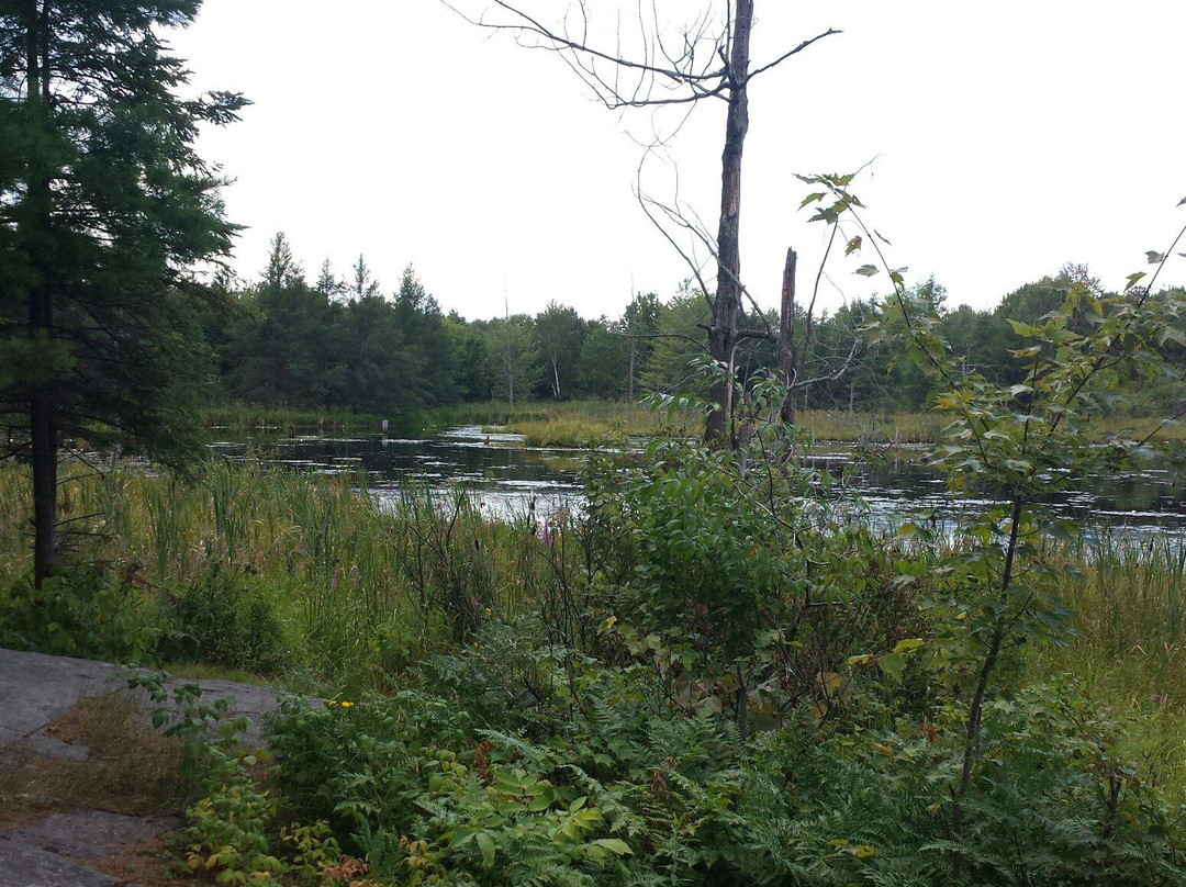 Laurier Woods Conservation Area-诺斯贝必去景点