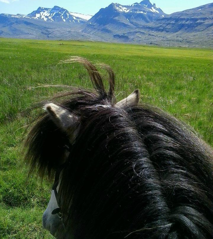 Odin Tours-Breiddalsvik必去景点