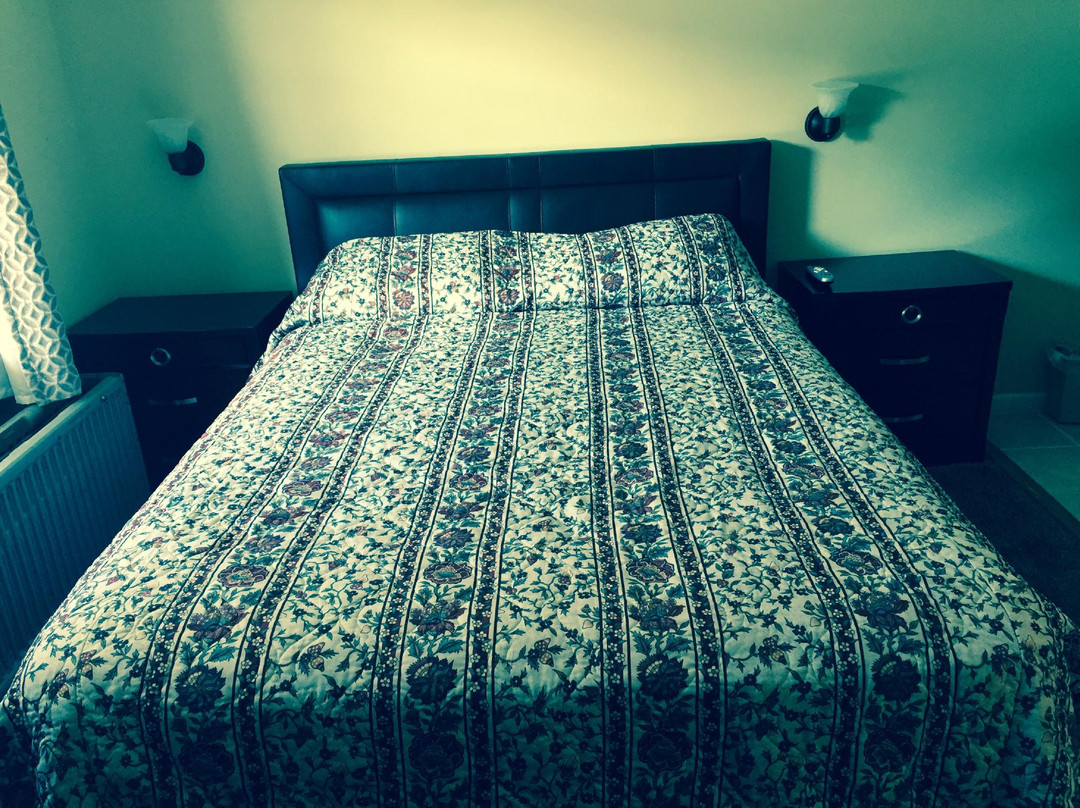 Al & Sally's Motel主图