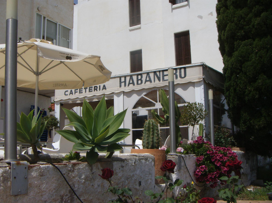 Cafe Bar HABANERO