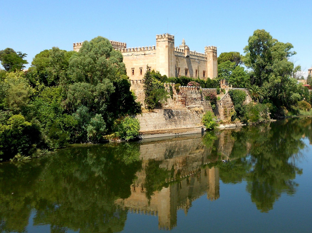 Castillo de Malpica景点图片