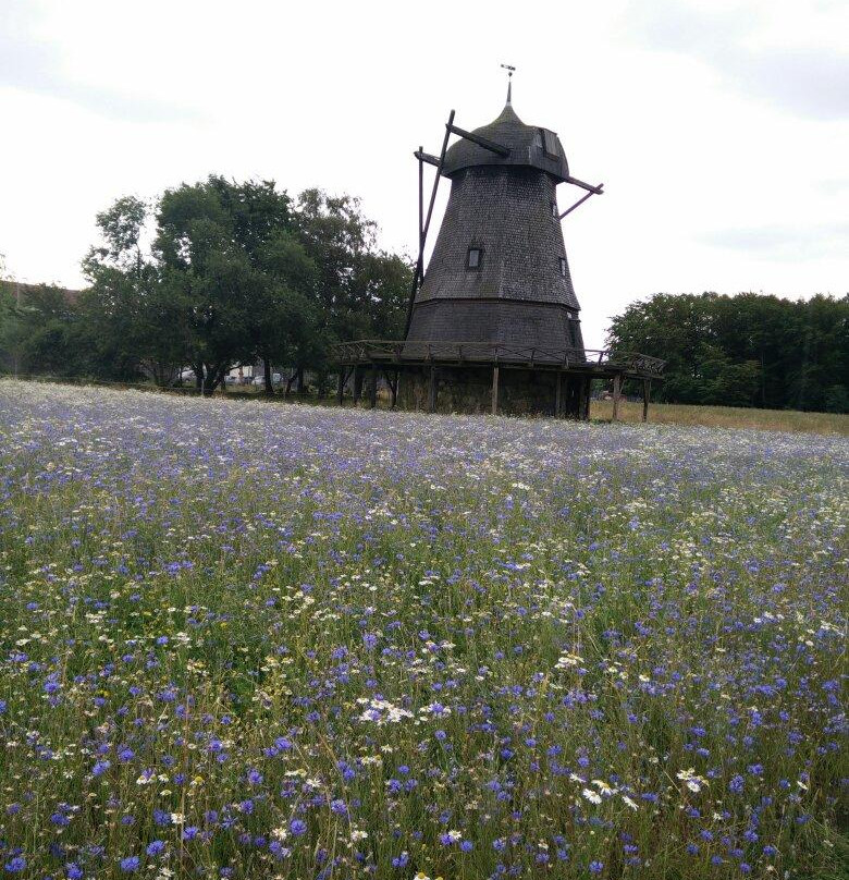 Fredriksdal Open-Air Museum and Botanical Garden景点图片