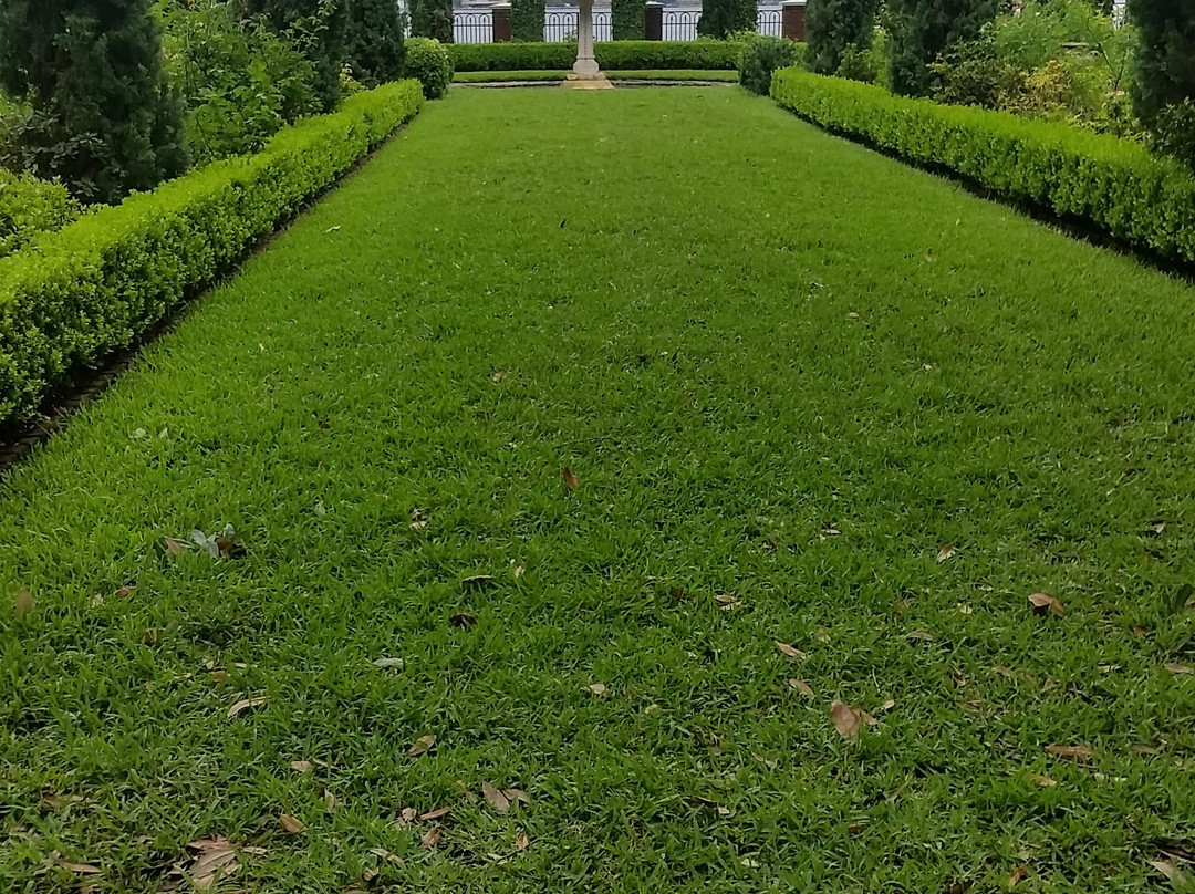 The Cummer Museum of Art & Gardens景点图片