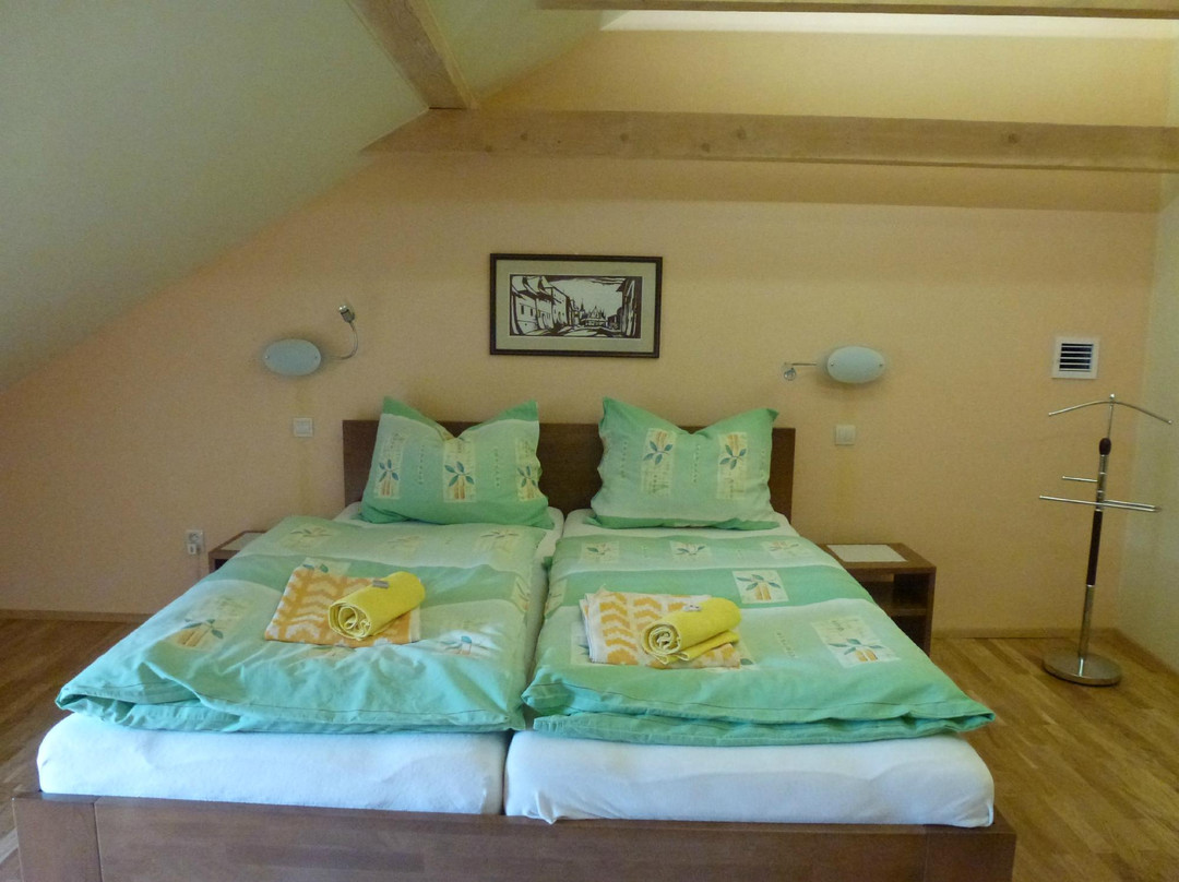 Accommodation at Janus- Ubytovanie U Janusa ***主图