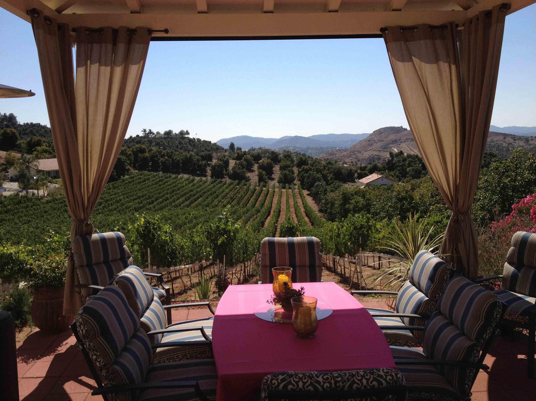 Altipiano Vineyard and Winery景点图片