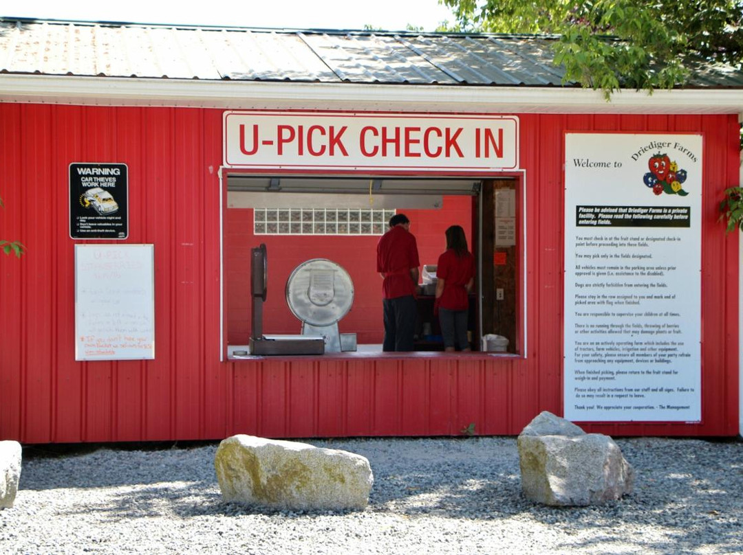 Driediger Farms-Langley必去景点