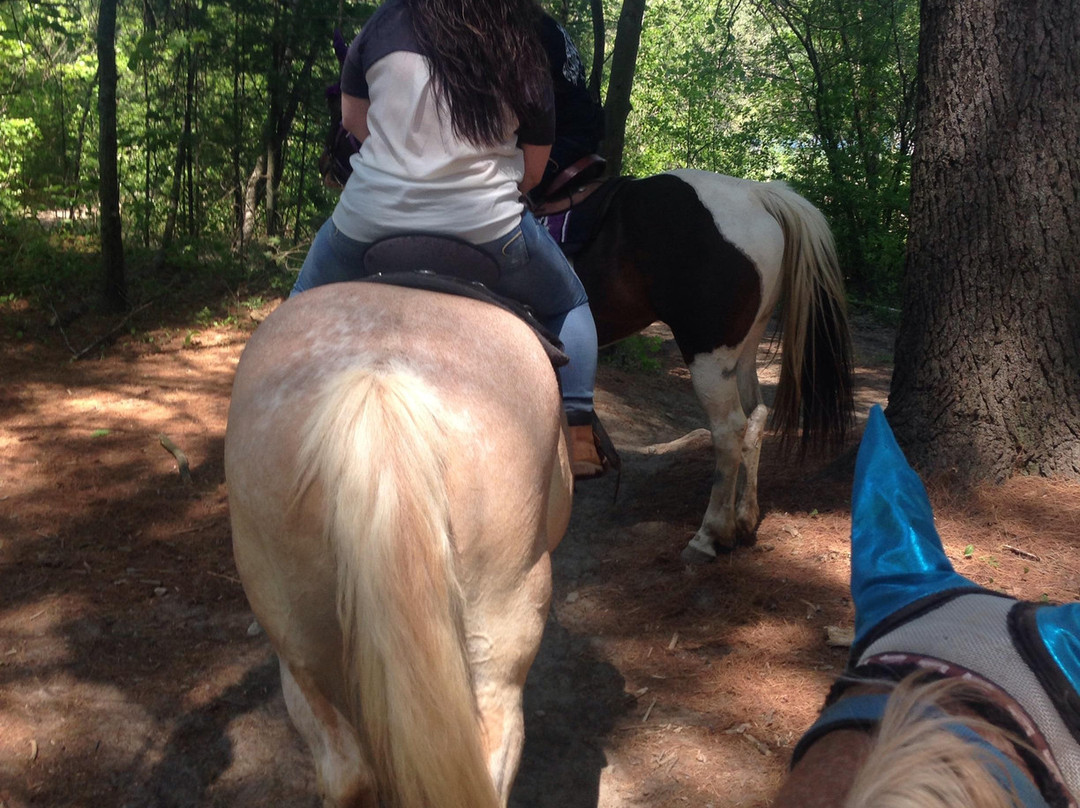 Bobby's Ranch-韦斯特福德必去景点