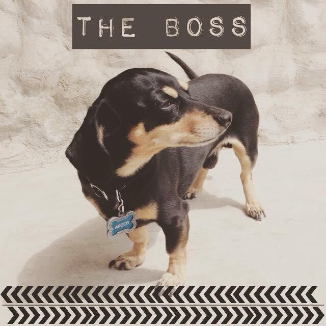 Argos Bar-帕拉卡斯必去景点