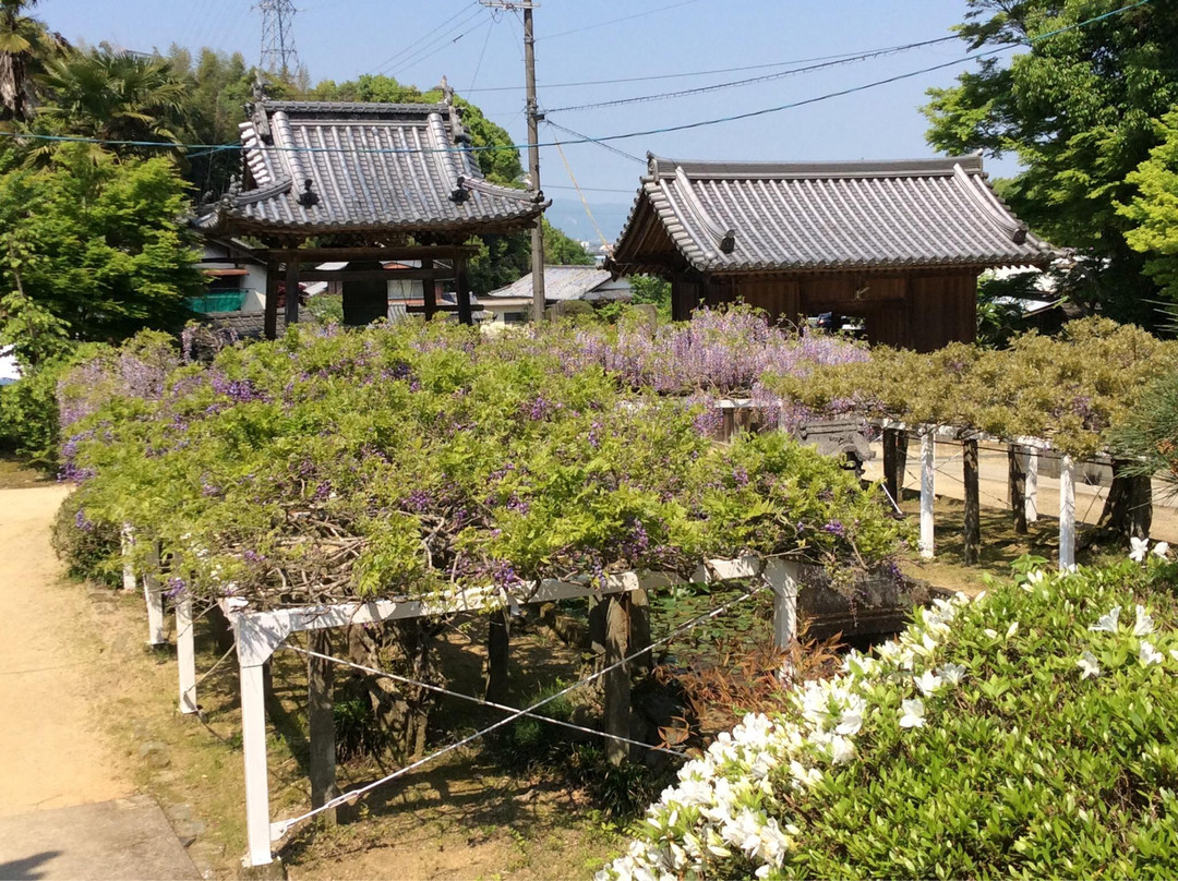 Fujiidera-吉野川市必去景点