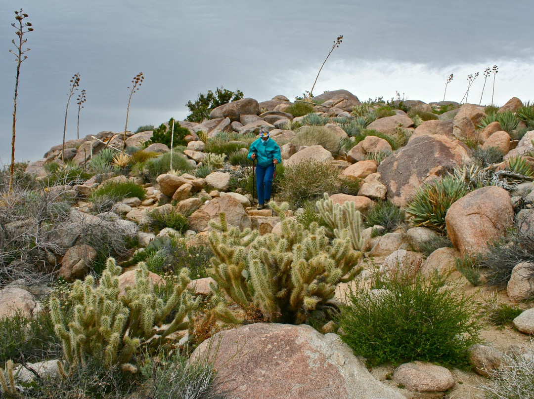 Ghost Mountain-波瑞戈泉必去景点