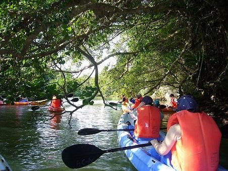 Ishigaki Island Canoeing Tour Lagoon景点图片