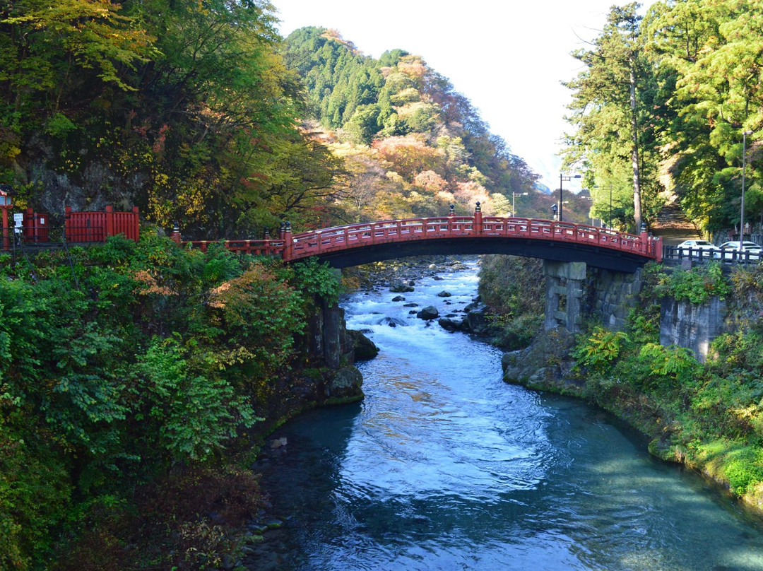 栃木县旅游攻略图片