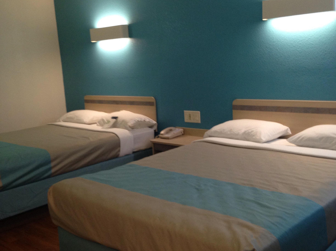 Bells酒店住宿-Motel 6 Brownsville-Bells