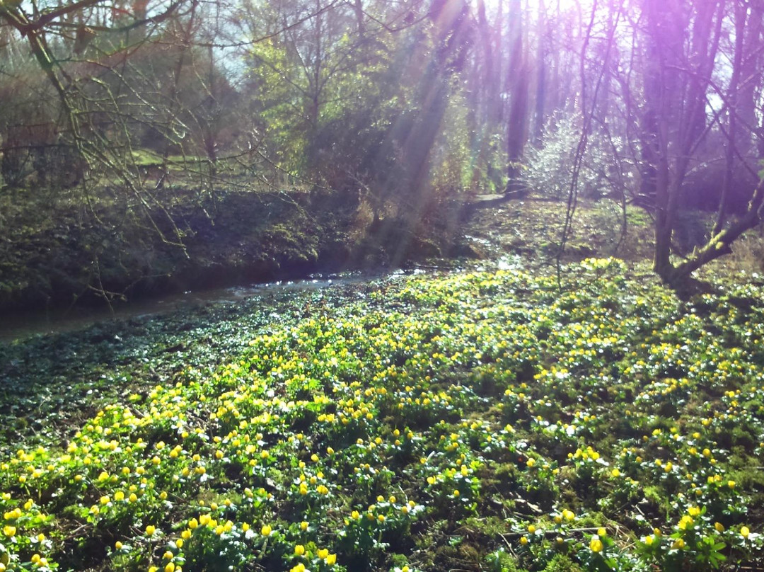 Evenley Wood Garden-Evenley必去景点