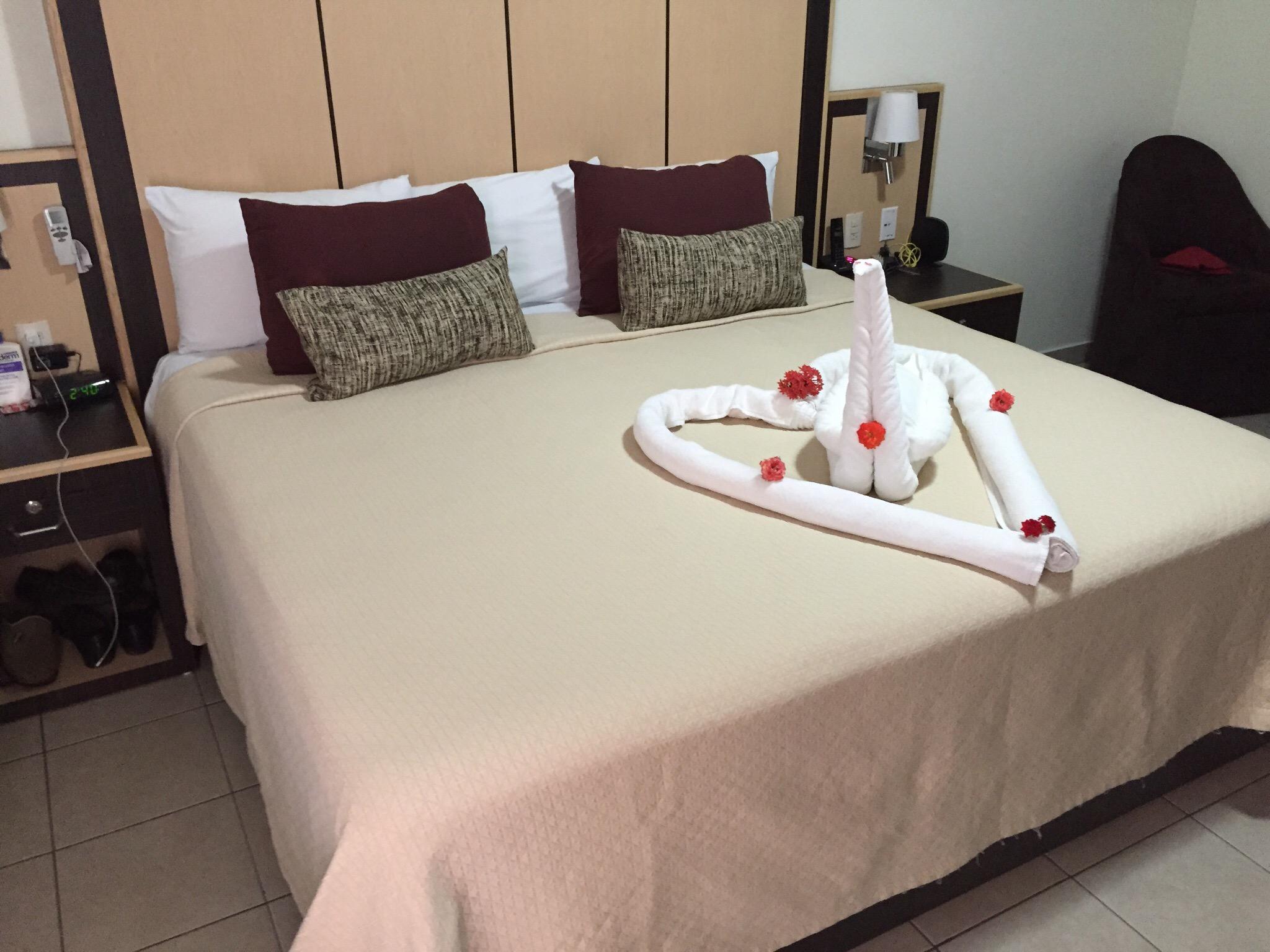 Hotel Gran Via-客卧