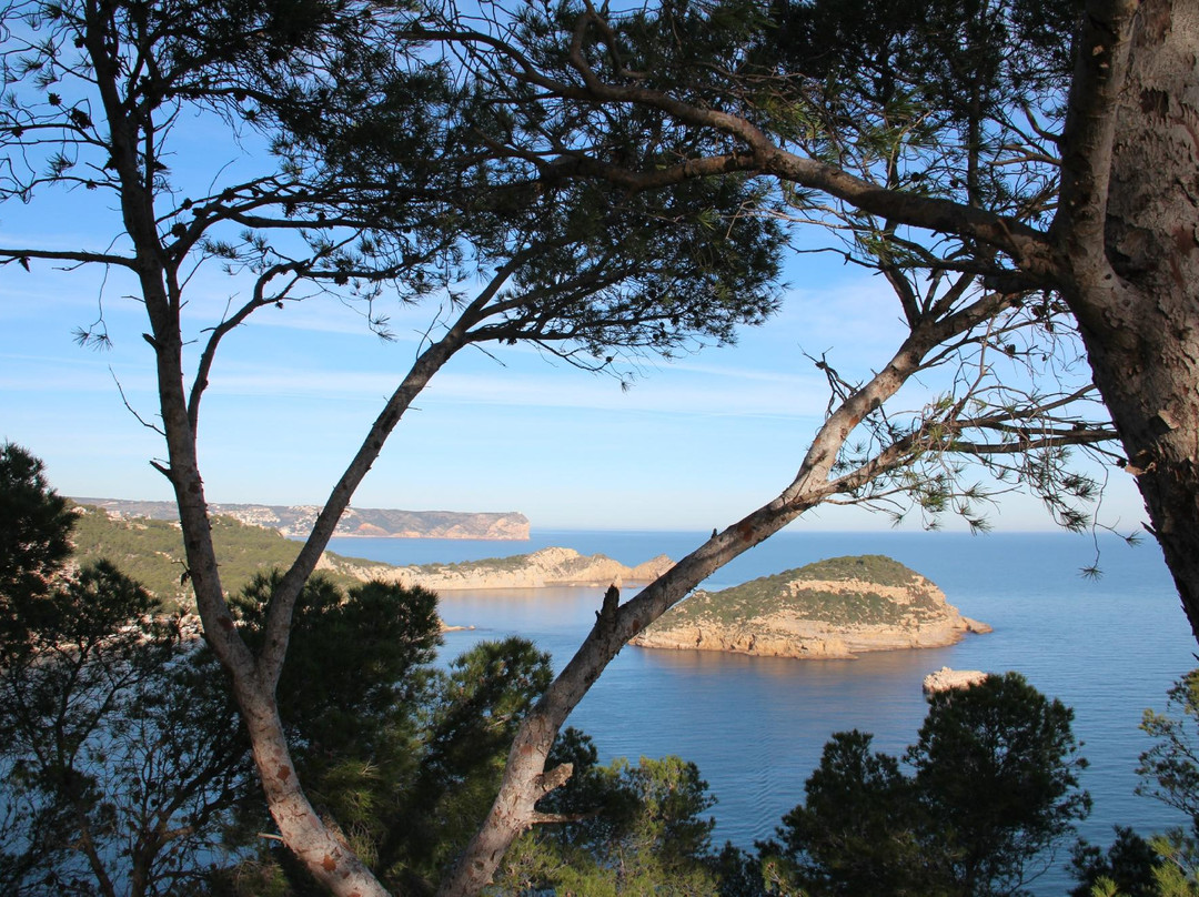 Cala Cap Negre景点图片