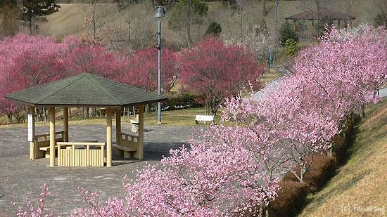 Hotarunosato, Motogi River Park-福津市必去景点