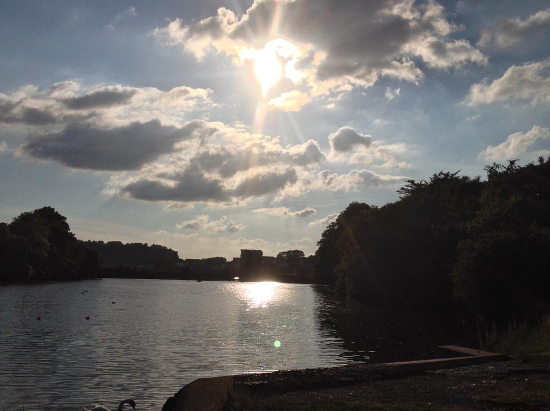 Radford Park and Arboretum-普利茅斯必去景点