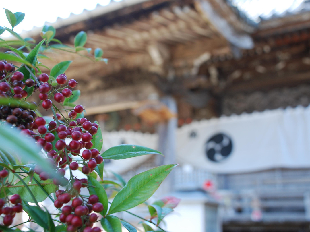 Jorakuji temple-德岛市必去景点