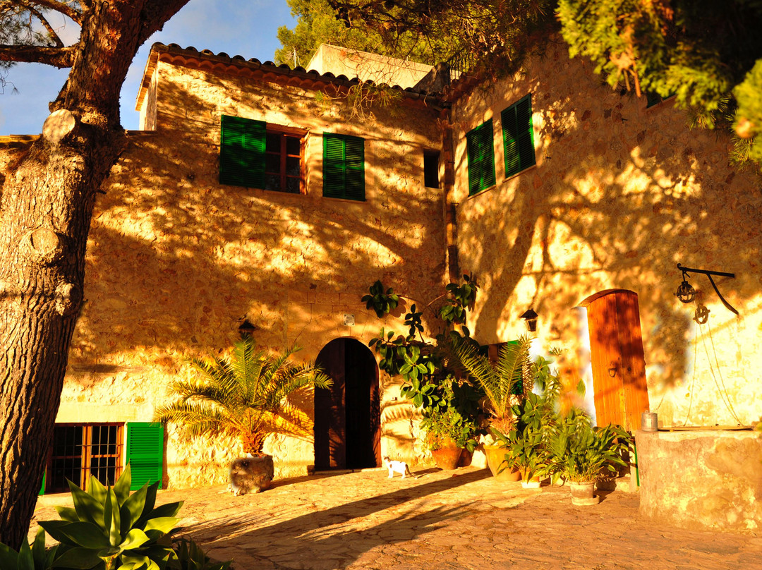 Santa Maria del Cami旅游攻略图片