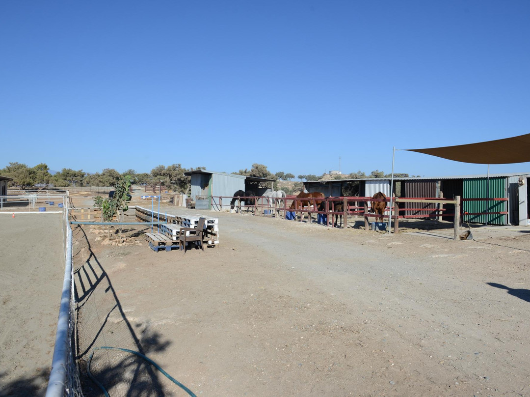 Alexandros Riding Stables-皮索里必去景点