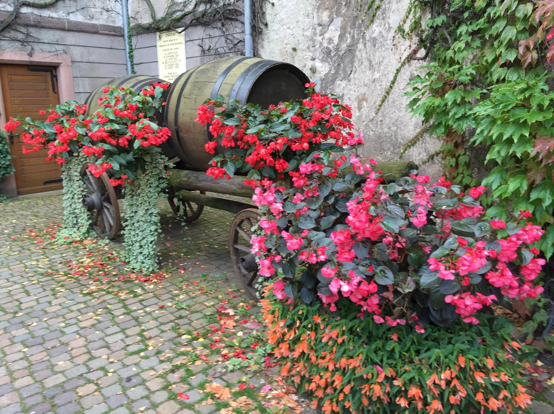 Musee du Vignoble Et des Vins d'Alsace景点图片