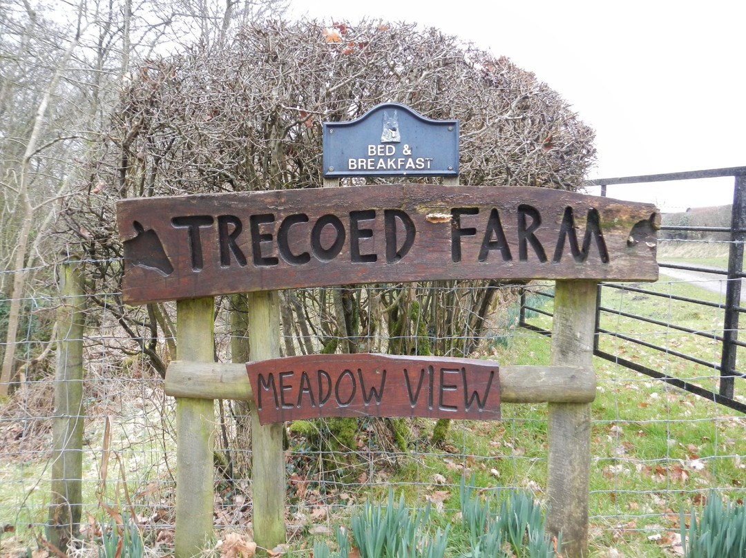 Trecoed Farm Bed & Breakfast主图