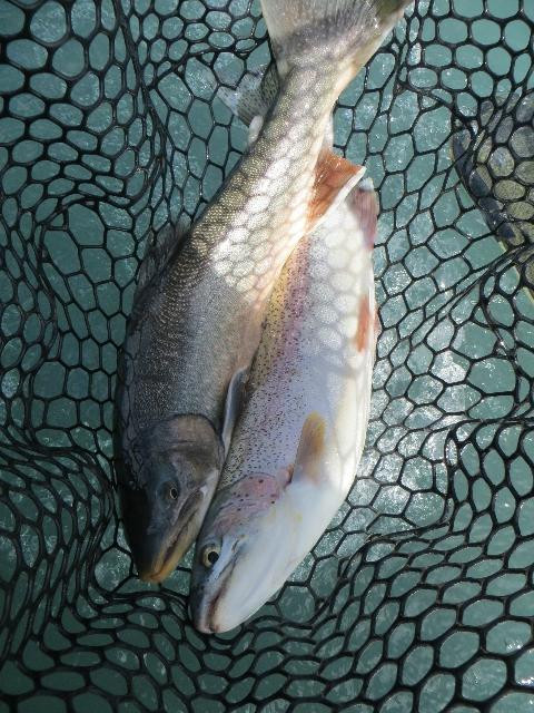 Kenai River Fly Fishing-Cooper Landing必去景点