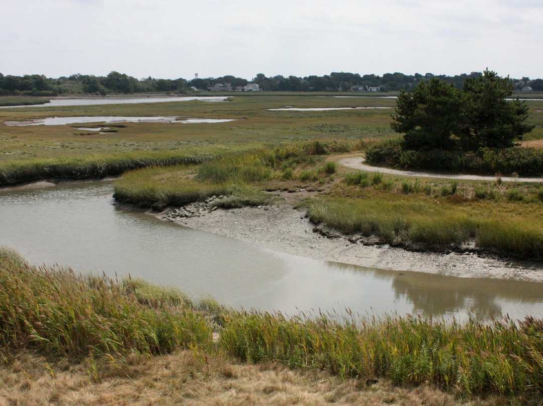 Belle Isle Marsh Reservation-波士顿必去景点