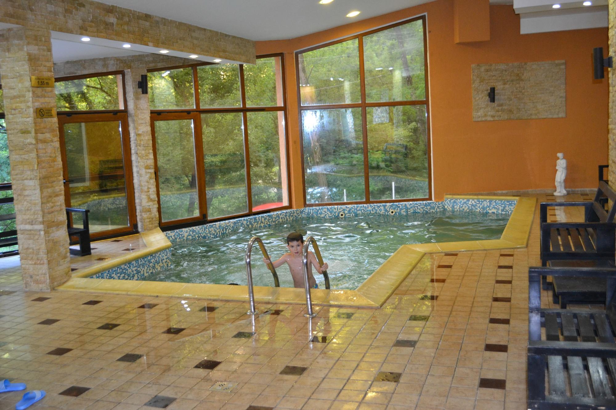 Hotel Perla Oltului-泳池