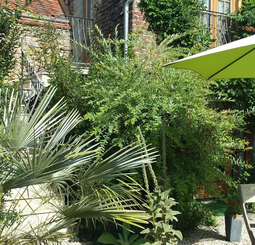 Vieux-Chateau旅游攻略图片