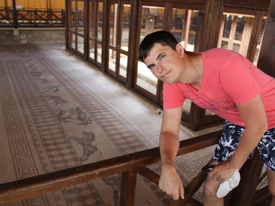 The House Of Dionysus-帕福斯必去景点