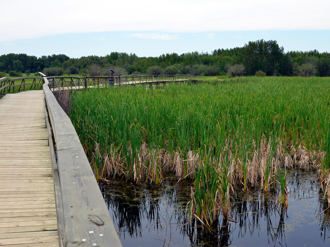 Aspen Beach Provincial Park-Bentley必去景点