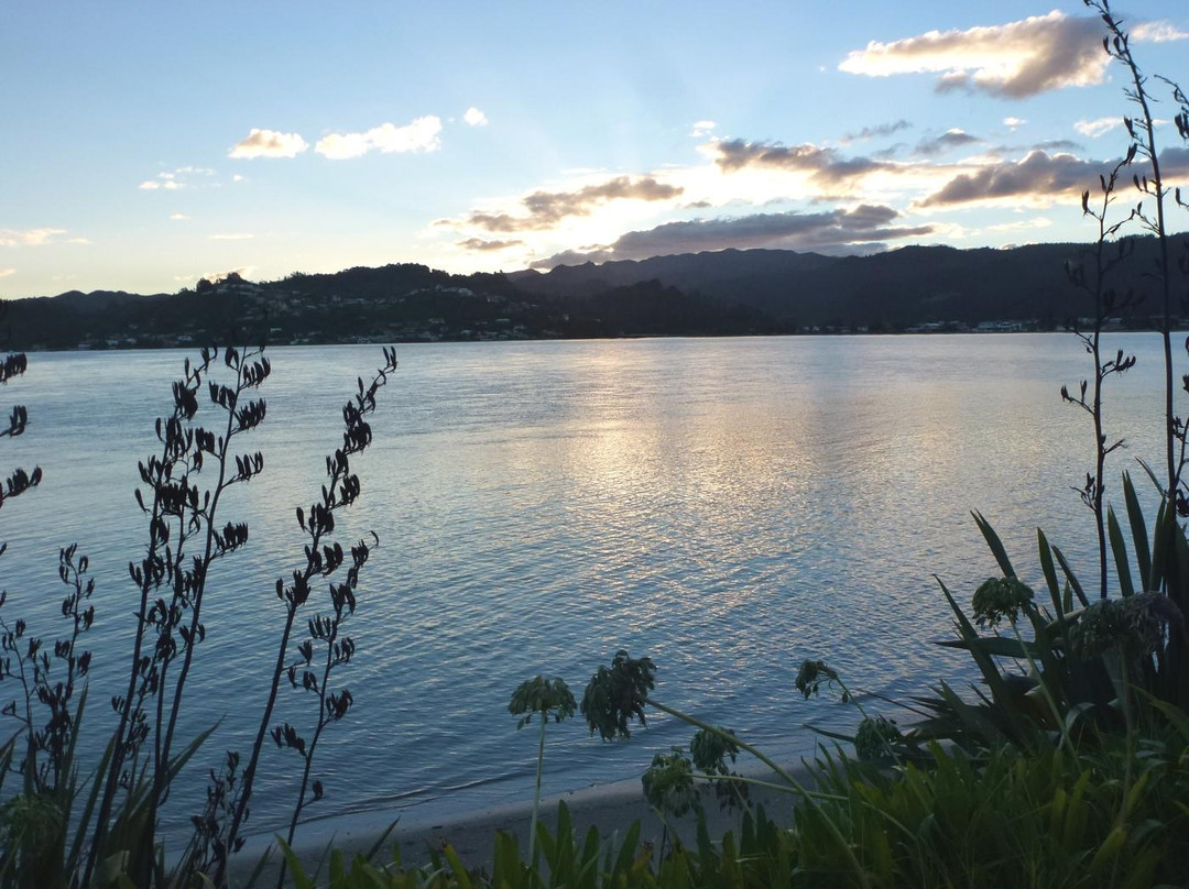 The Little Gallery-Tairua必去景点