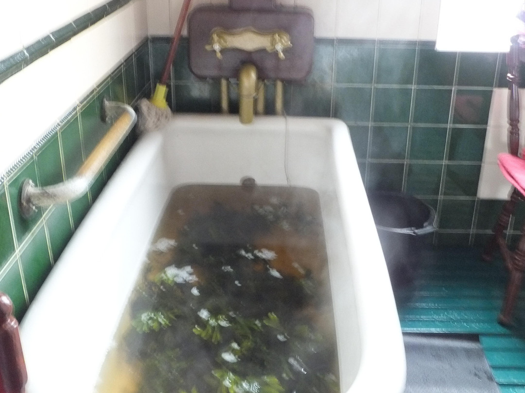 Kilcullen's Seaweed Baths景点图片