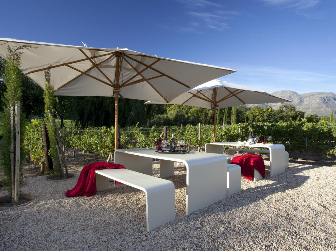 Peter Falke Winery-斯泰伦博斯必去景点