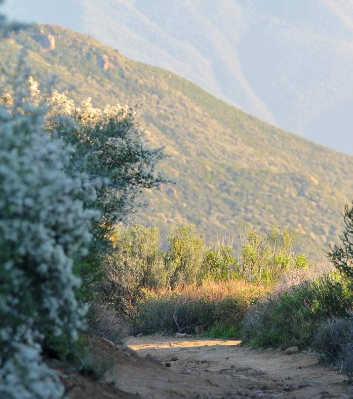 Backbone Trail景点图片