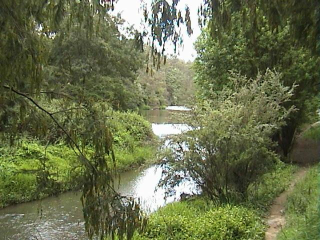 渥伦泰德省立公园-墨尔本必去景点