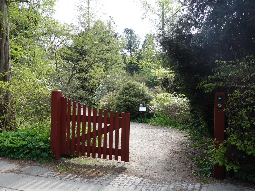 Forstbotanisk Have景点图片
