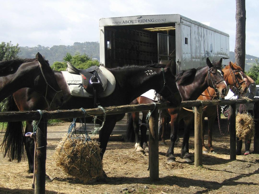 Aboutriding. Co. Nz-穆里怀海滩必去景点