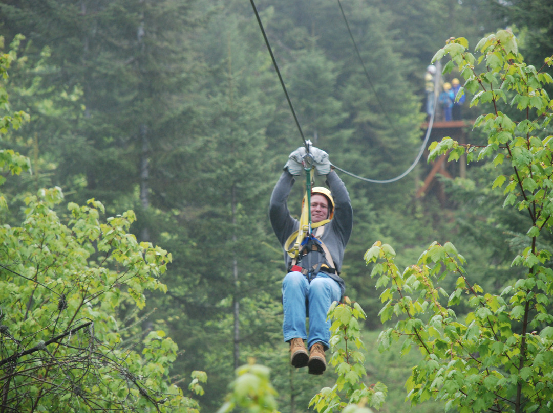 Silver Streak Zipline Tours景点图片