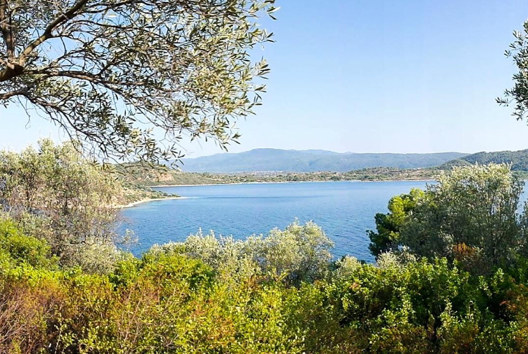 Heos Studios & Apartments主图